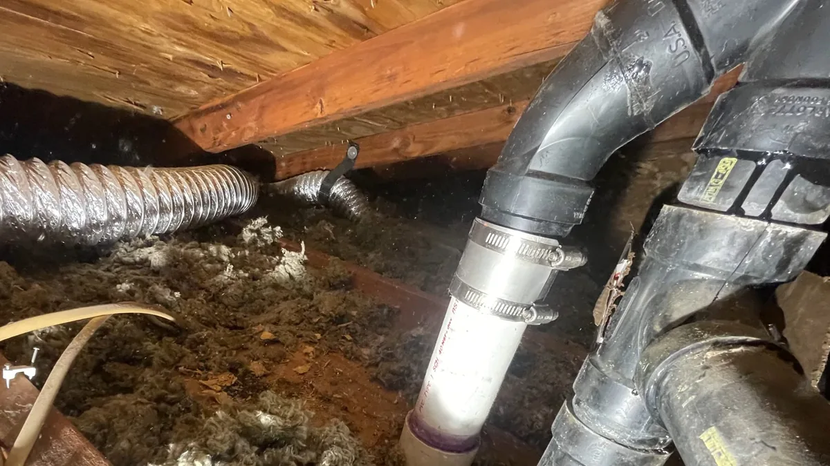 Black plastic drain fittings, a clamped white pipe and flexible duct among wood joists and loose insulation